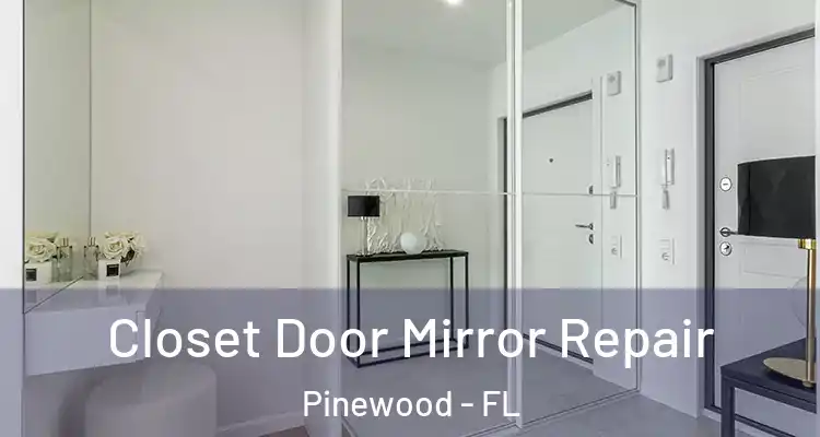 Closet Door Mirror Repair Pinewood - FL