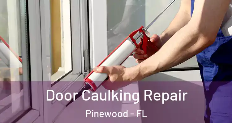 Door Caulking Repair Pinewood - FL