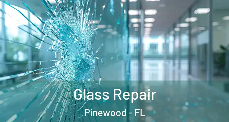 Glass Repair Pinewood - FL