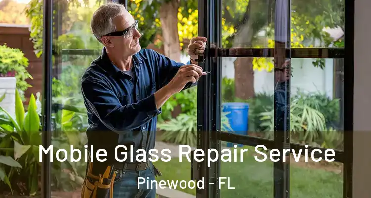 Mobile Glass Repair Service Pinewood - FL