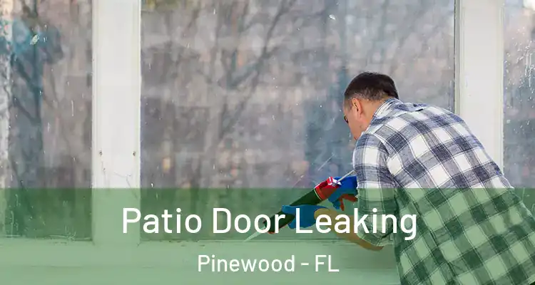 Patio Door Leaking Pinewood - FL
