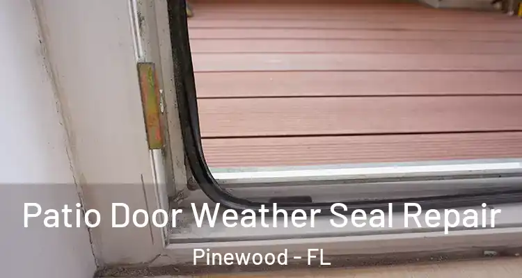 Patio Door Weather Seal Repair Pinewood - FL