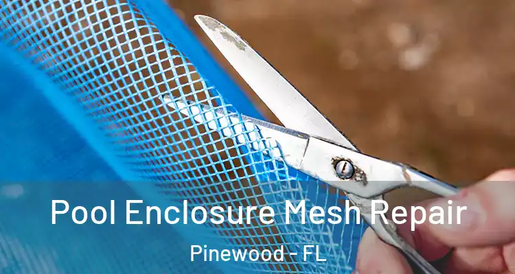 Pool Enclosure Mesh Repair Pinewood - FL