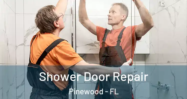 Shower Door Repair Pinewood - FL