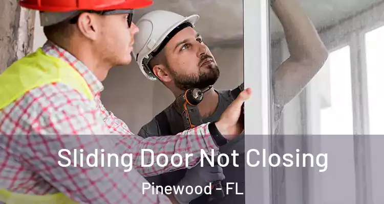 Sliding Door Not Closing Pinewood - FL