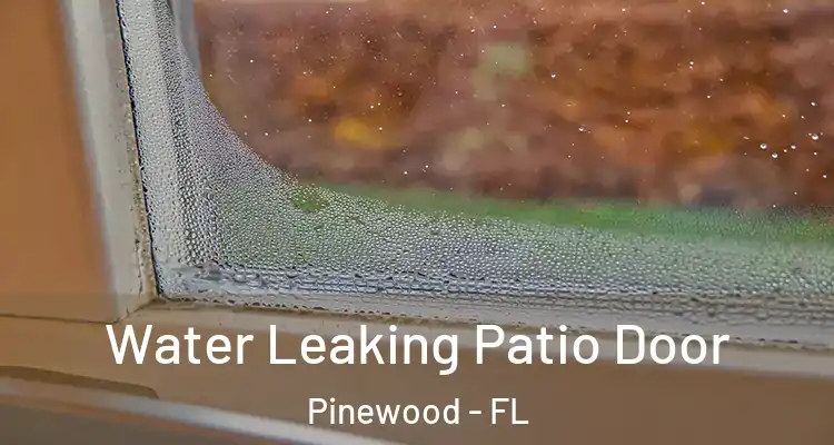 Water Leaking Patio Door Pinewood - FL