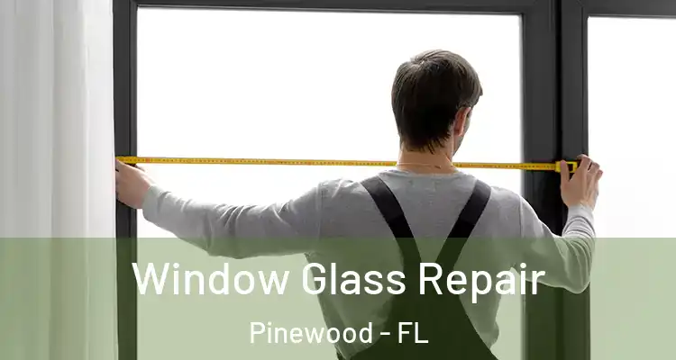 Window Glass Repair Pinewood - FL