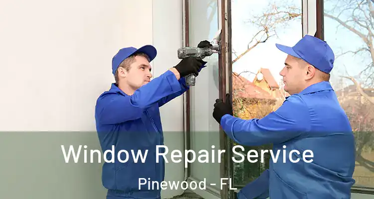 Window Repair Service Pinewood - FL